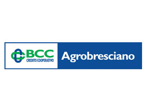Logo VI
