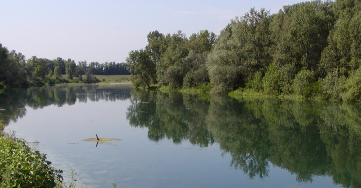 LA VOGLIA DI RAGIONARE È UN FIUME CHE SCORRE